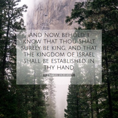 Picture 07 - 1 Samuel 24:20 ASV - And now, behold, I know that thou shalt surely be - Bible Verse Picture