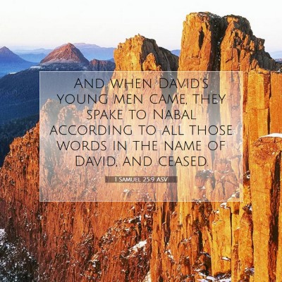 Picture 07 - 1 Samuel 25:9 ASV - And when David's young men came, they spake to - Bible Verse Picture