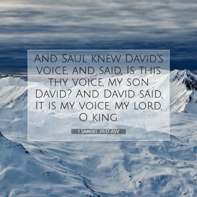 Picture 07 - 1 Samuel 26:17 ASV - And Saul knew David's voice, and said, Is this - Bible Verse Picture