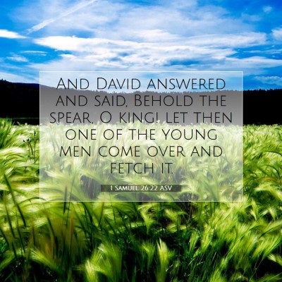 Picture 07 - 1 Samuel 26:22 ASV - And David answered and said, Behold the spear, O - Bible Verse Picture