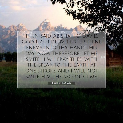 Picture 07 - 1 Samuel 26:8 ASV - Then said Abishai to David, God hath delivered up - Bible Verse Picture