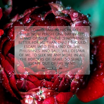 Picture 07 - 1 Samuel 27:1 ASV - And David said in his heart, I shall now perish - Bible Verse Picture