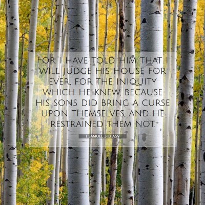 Picture 07 - 1 Samuel 3:13 ASV - For I have told him that I will judge his house - Bible Verse Picture