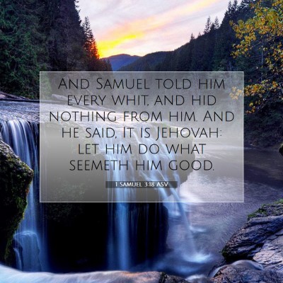 Picture 07 - 1 Samuel 3:18 ASV - And Samuel told him every whit, and hid nothing - Bible Verse Picture