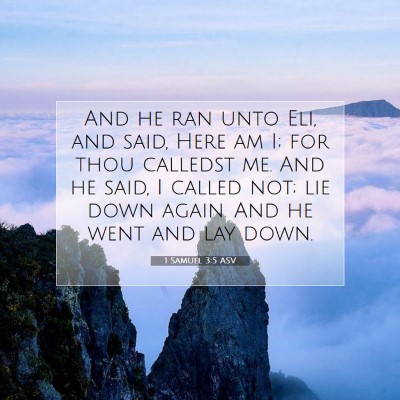 Picture 07 - 1 Samuel 3:5 ASV - And he ran unto Eli, and said, Here am I; for - Bible Verse Picture