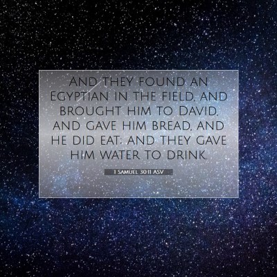 Picture 07 - 1 Samuel 30:11 ASV - And they found an Egyptian in the field, and - Bible Verse Picture