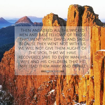 Picture 07 - 1 Samuel 30:22 ASV - Then answered all the wicked men and base - Bible Verse Picture