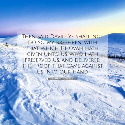 Picture 07 - 1 Samuel 30:23 ASV - Then said David, Ye shall not do so, my brethren, - Bible Verse Picture