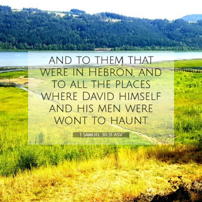 Picture 07 - 1 Samuel 30:31 ASV - and to them that were in Hebron, and to all the - Bible Verse Picture