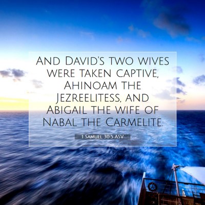 Picture 07 - 1 Samuel 30:5 ASV - And David's two wives were taken captive, Ahinoam - Bible Verse Picture