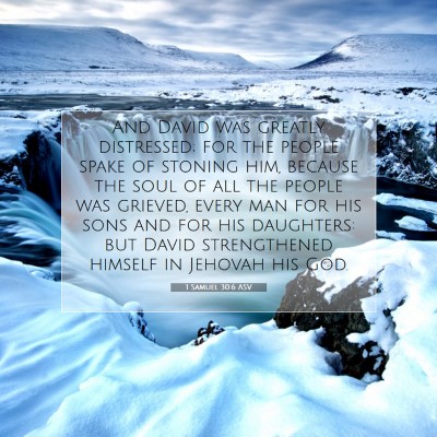 Picture 07 - 1 Samuel 30:6 ASV - And David was greatly distressed; for the people - Bible Verse Picture