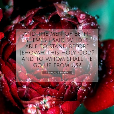 Picture 07 - 1 Samuel 6:20 ASV - And the men of Beth-shemesh said, Who is able to - Bible Verse Picture
