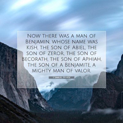 Picture 07 - 1 Samuel 9:1 ASV - Now there was a man of Benjamin, whose name was - Bible Verse Picture