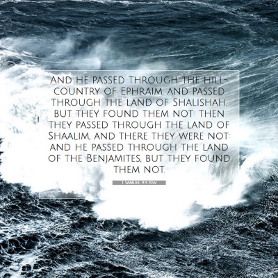 Picture 07 - 1 Samuel 9:4 ASV - And he passed through the hill-country of - Bible Verse Picture