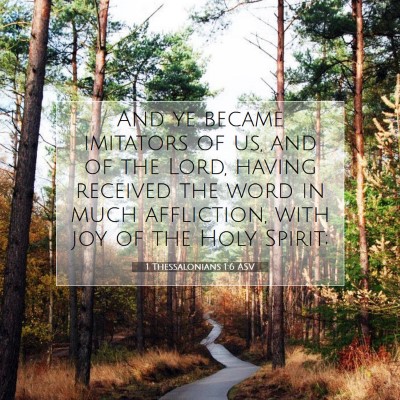Picture 07 - 1 Thessalonians 1:6 ASV - And ye became imitators of us, and of the Lord, - Bible Verse Picture