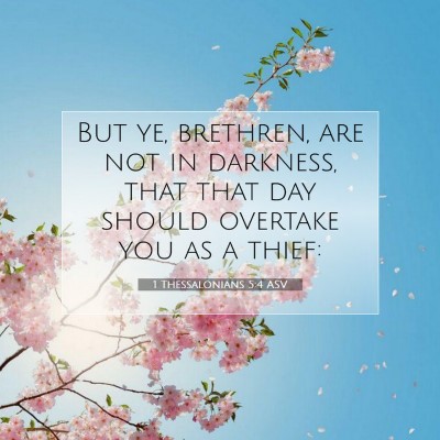 Picture 07 - 1 Thessalonians 5:4 ASV - But ye, brethren, are not in darkness, that that - Bible Verse Picture