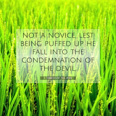 Picture 07 - 1 Timothy 3:6 ASV - not a novice, lest being puffed up he fall into - Bible Verse Picture