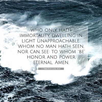 Picture 07 - 1 Timothy 6:16 ASV - who only hath immortality, dwelling in light - Bible Verse Picture