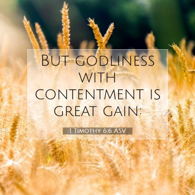 Picture 07 - 1 Timothy 6:6 ASV - But godliness with contentment is great - Bible Verse Picture