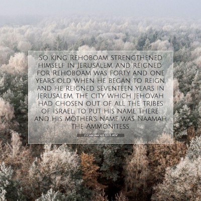 Picture 07 - 2 Chronicles 12:13 ASV - So king Rehoboam strengthened himself in - Bible Verse Picture