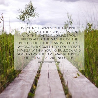 Picture 07 - 2 Chronicles 13:9 ASV - Have ye not driven out the priests of Jehovah, - Bible Verse Picture