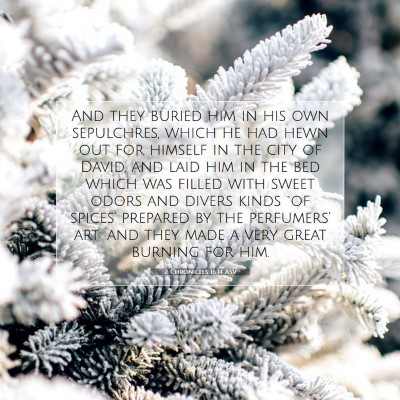 Picture 07 - 2 Chronicles 16:14 ASV - And they buried him in his own sepulchres, which - Bible Verse Picture