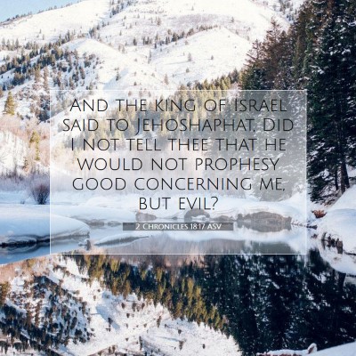 Picture 07 - 2 Chronicles 18:17 ASV - And the king of Israel said to Jehoshaphat, Did I - Bible Verse Picture