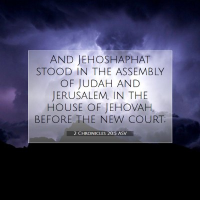 Picture 07 - 2 Chronicles 20:5 ASV - And Jehoshaphat stood in the assembly of Judah - Bible Verse Picture