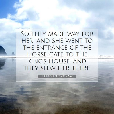 Picture 07 - 2 Chronicles 23:15 ASV - So they made way for her; and she went to the - Bible Verse Picture