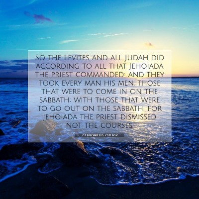 Picture 07 - 2 Chronicles 23:8 ASV - So the Levites and all Judah did according to all - Bible Verse Picture