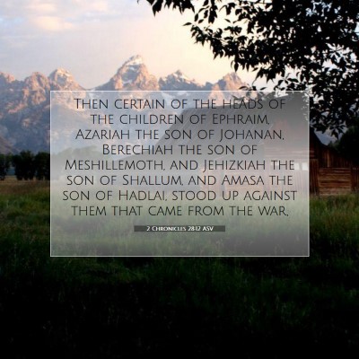 Picture 07 - 2 Chronicles 28:12 ASV - Then certain of the heads of the children of - Bible Verse Picture