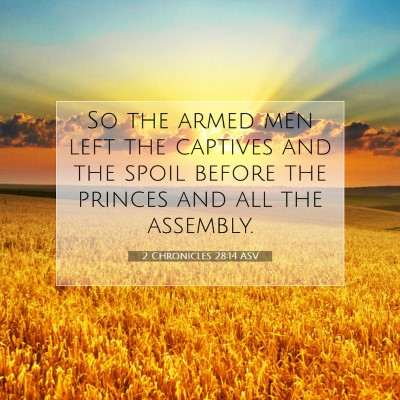 Picture 07 - 2 Chronicles 28:14 ASV - So the armed men left the captives and the spoil - Bible Verse Picture