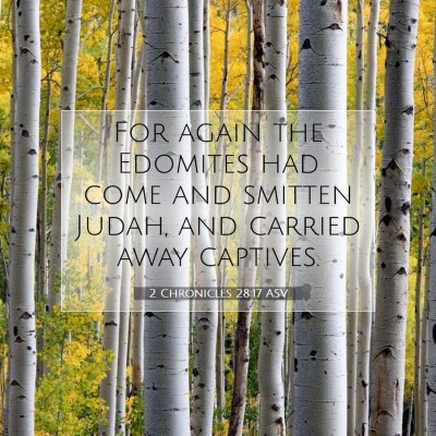 Picture 07 - 2 Chronicles 28:17 ASV - For again the Edomites had come and smitten - Bible Verse Picture