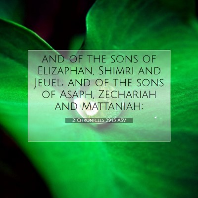 Picture 07 - 2 Chronicles 29:13 ASV - and of the sons of Elizaphan, Shimri and Jeuel; - Bible Verse Picture