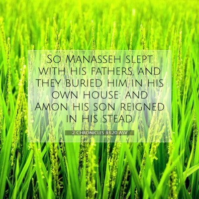 Picture 07 - 2 Chronicles 33:20 ASV - So Manasseh slept with his fathers, and they - Bible Verse Picture