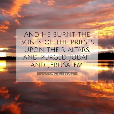 Picture 07 - 2 Chronicles 34:5 ASV - And he burnt the bones of the priests upon their - Bible Verse Picture