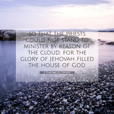 Picture 07 - 2 Chronicles 5:14 ASV - so that the priests could not stand to minister - Bible Verse Picture
