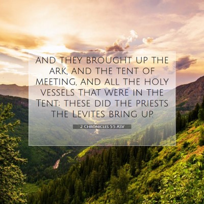 Picture 07 - 2 Chronicles 5:5 ASV - and they brought up the ark, and the tent of - Bible Verse Picture