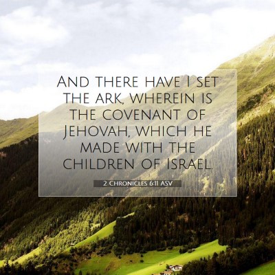 Picture 07 - 2 Chronicles 6:11 ASV - And there have I set the ark, wherein is the - Bible Verse Picture