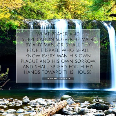 Picture 07 - 2 Chronicles 6:29 ASV - what prayer and supplication soever be made by - Bible Verse Picture