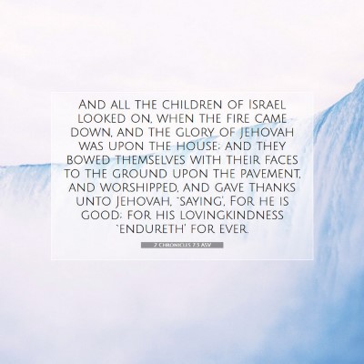 Picture 07 - 2 Chronicles 7:3 ASV - And all the children of Israel looked on, when - Bible Verse Picture