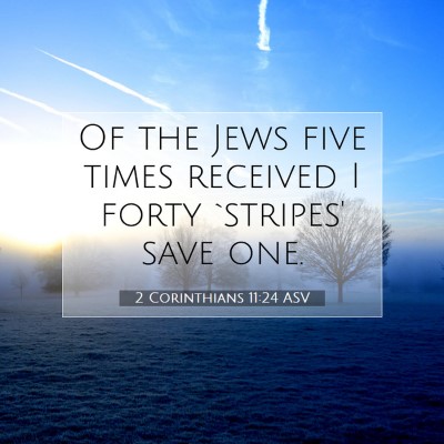 Picture 07 - 2 Corinthians 11:24 ASV - Of the Jews five times received I forty `stripes' - Bible Verse Picture