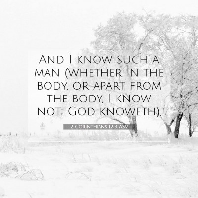Picture 07 - 2 Corinthians 12:3 ASV - And I know such a man (whether in the body, or - Bible Verse Picture