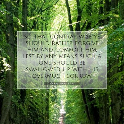 Picture 07 - 2 Corinthians 2:7 ASV - so that contrariwise ye should rather forgive him - Bible Verse Picture