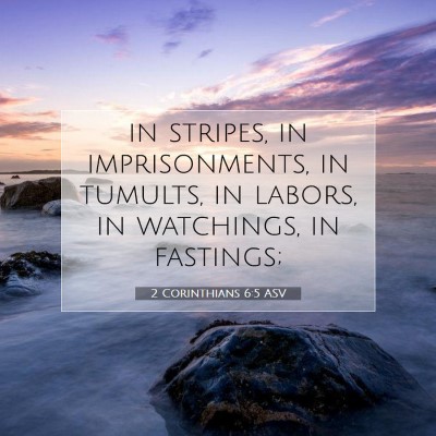 Picture 07 - 2 Corinthians 6:5 ASV - in stripes, in imprisonments, in tumults, in - Bible Verse Picture