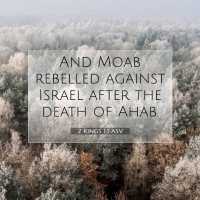 Picture 07 - 2 Kings 1:1 ASV - And Moab rebelled against Israel after the death - Bible Verse Picture