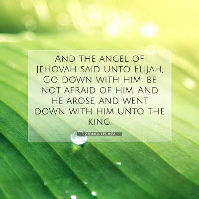 Picture 07 - 2 Kings 1:15 ASV - And the angel of Jehovah said unto Elijah, Go - Bible Verse Picture