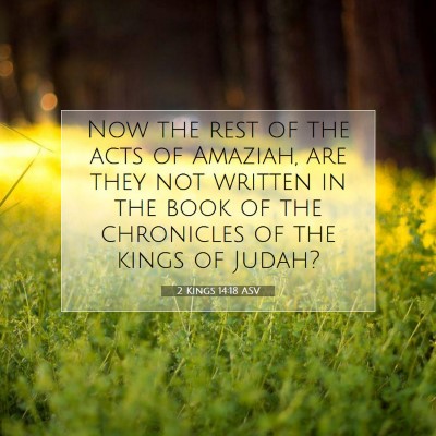 Picture 07 - 2 Kings 14:18 ASV - Now the rest of the acts of Amaziah, are they not - Bible Verse Picture