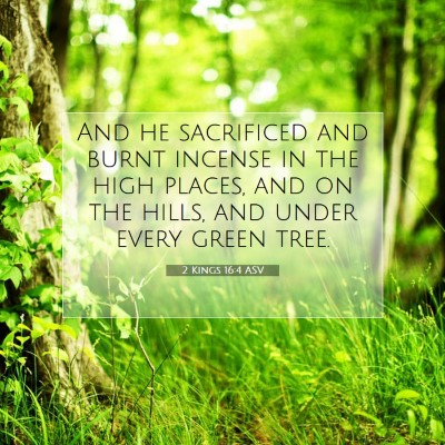 Picture 07 - 2 Kings 16:4 ASV - And he sacrificed and burnt incense in the high - Bible Verse Picture