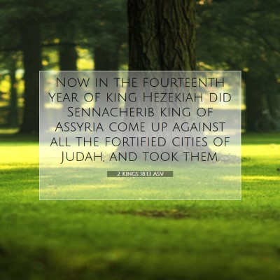 Picture 07 - 2 Kings 18:13 ASV - Now in the fourteenth year of king Hezekiah did - Bible Verse Picture